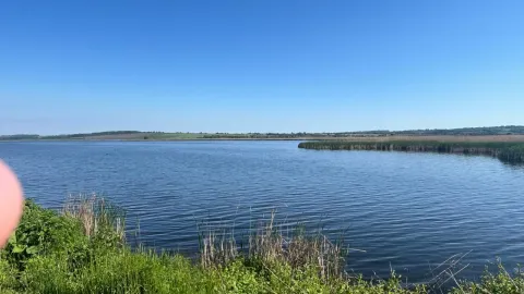Виробнича практика