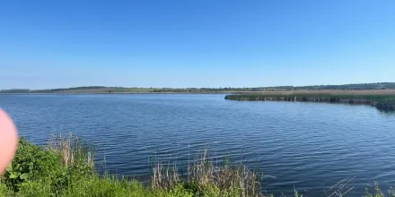 Виробнича практика